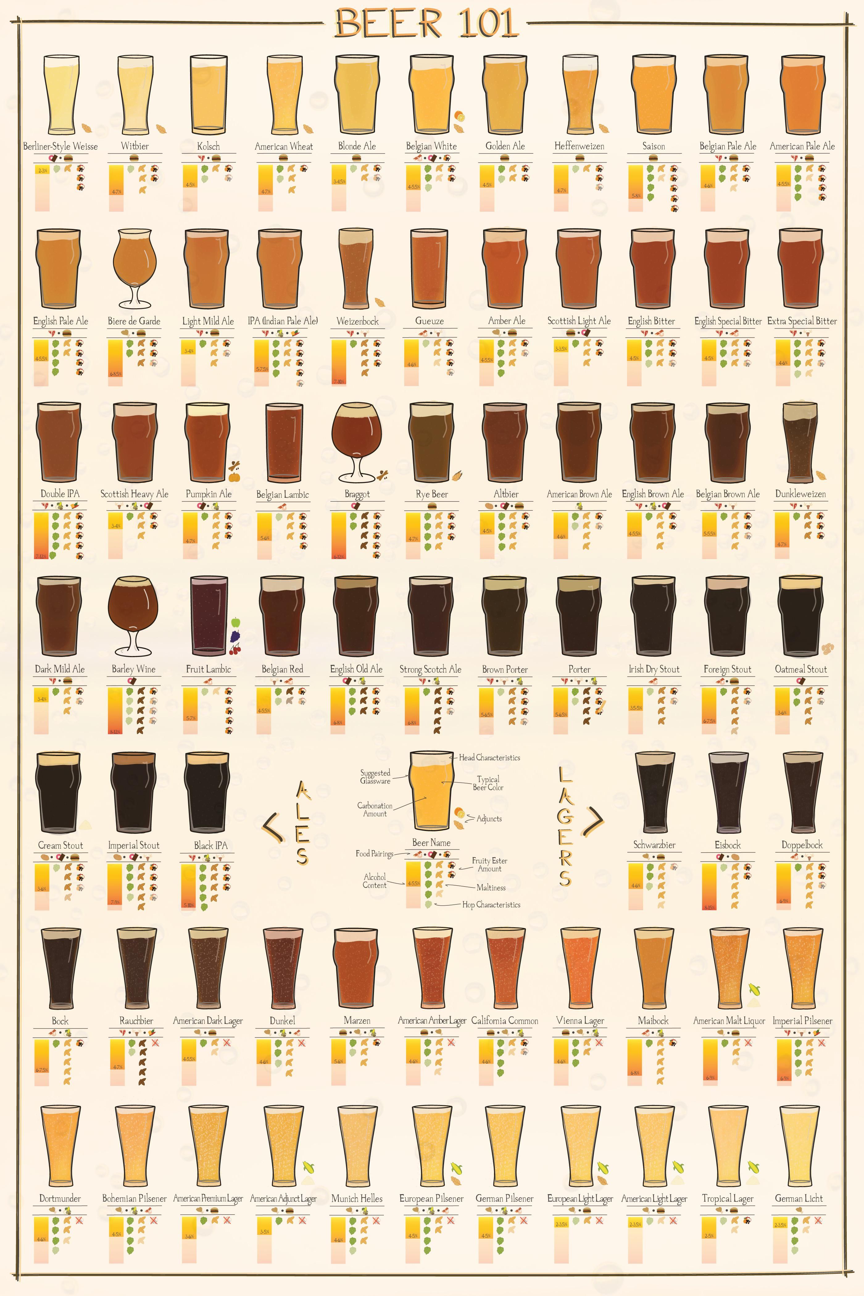 Beer 101