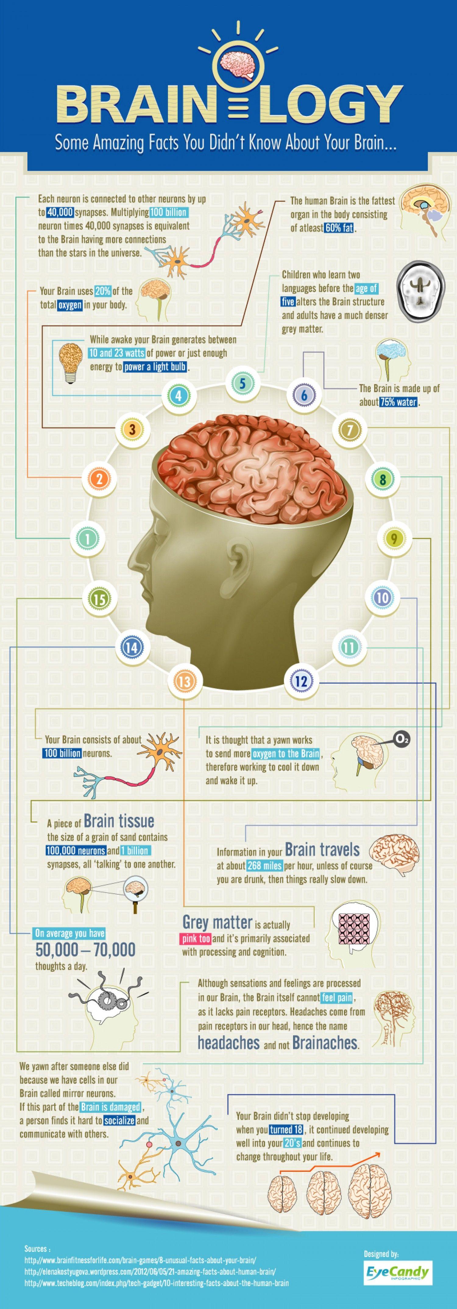 Brainology