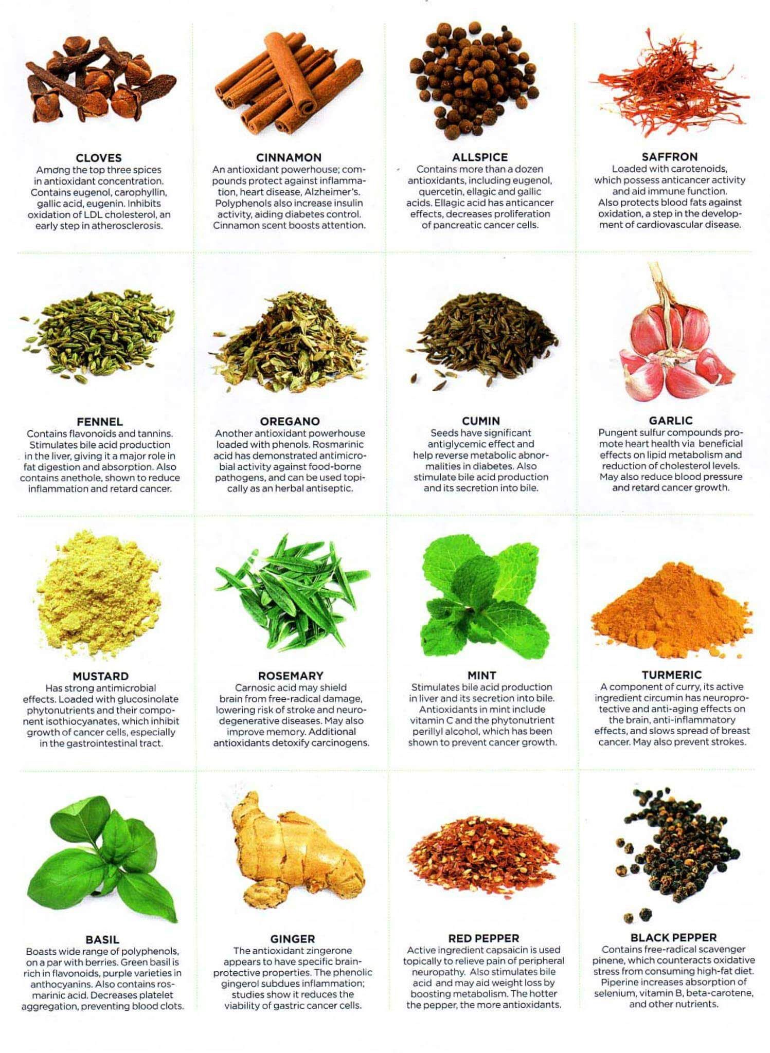 Health Benefits Of Different Herbs