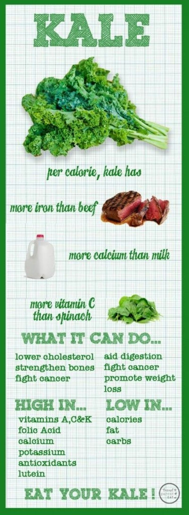 Kale Infographic