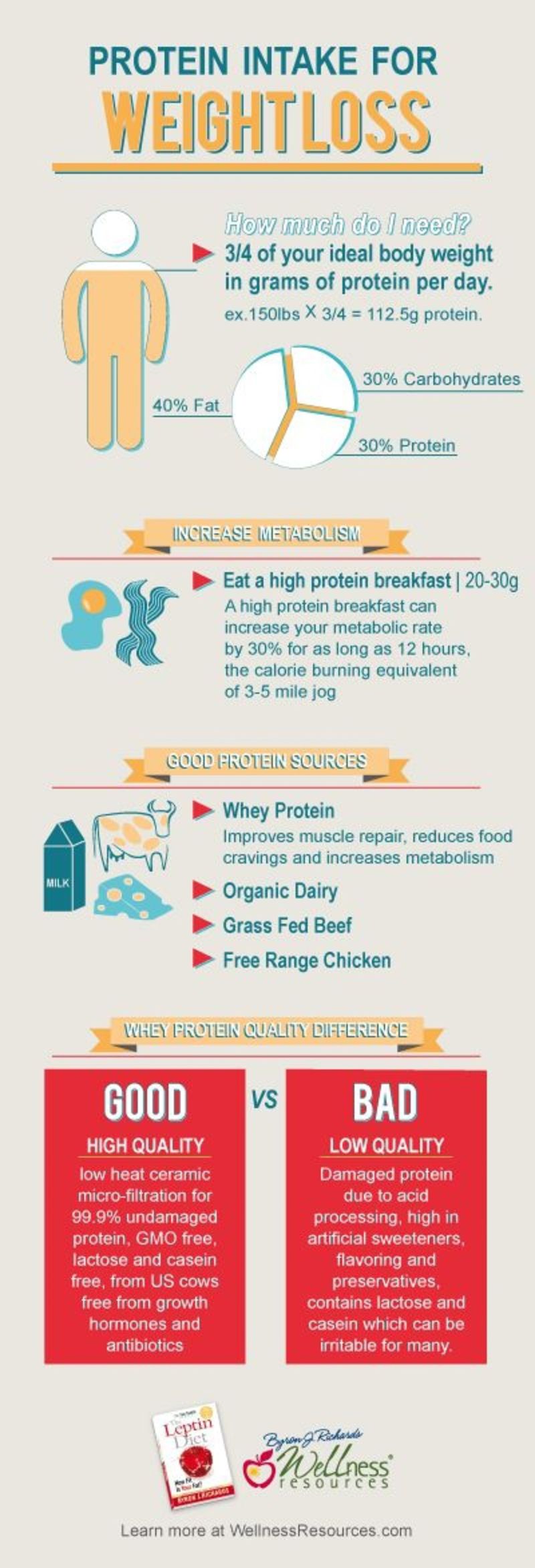 Protein Intake