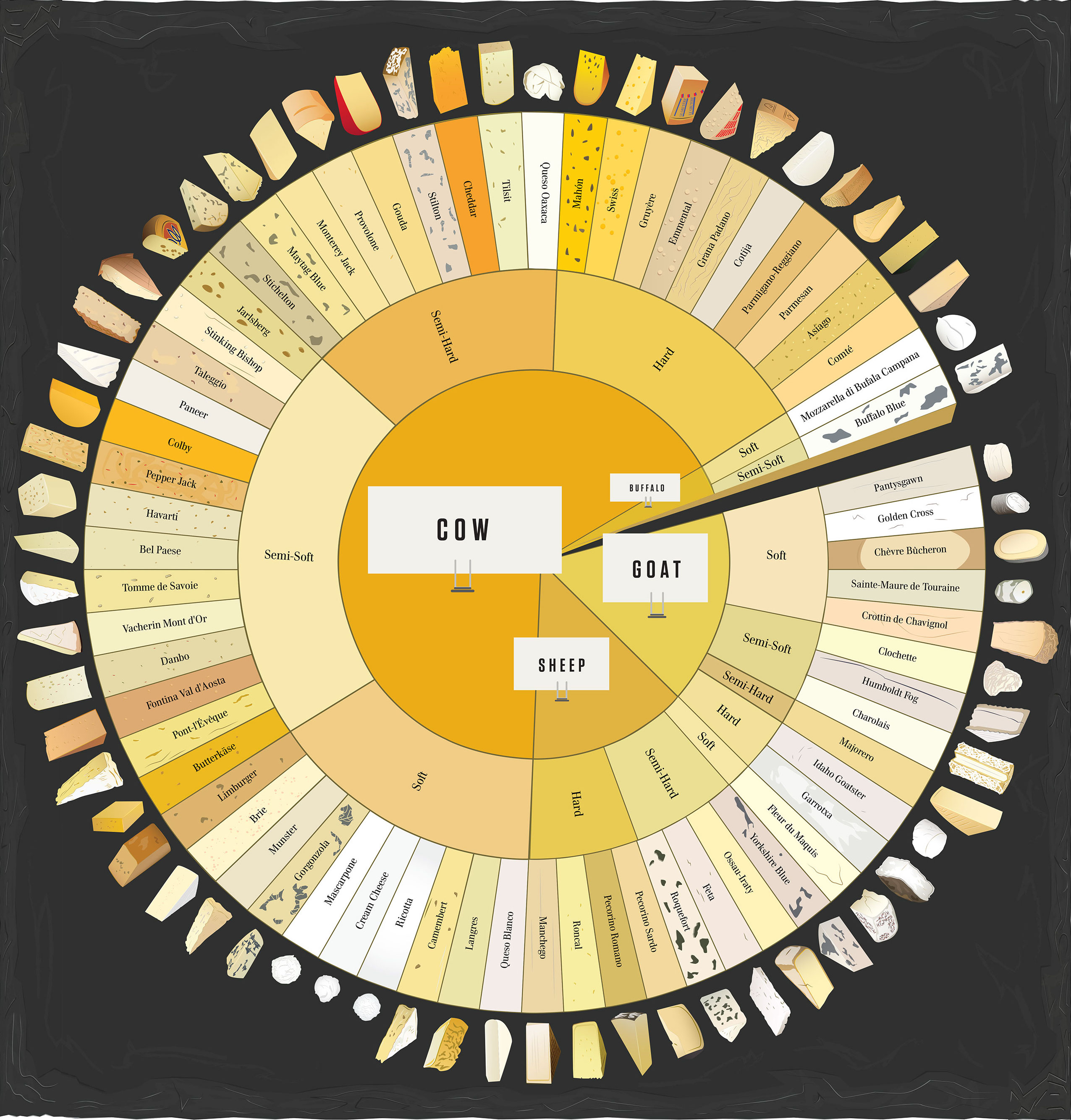 The Charted Cheese Wheel