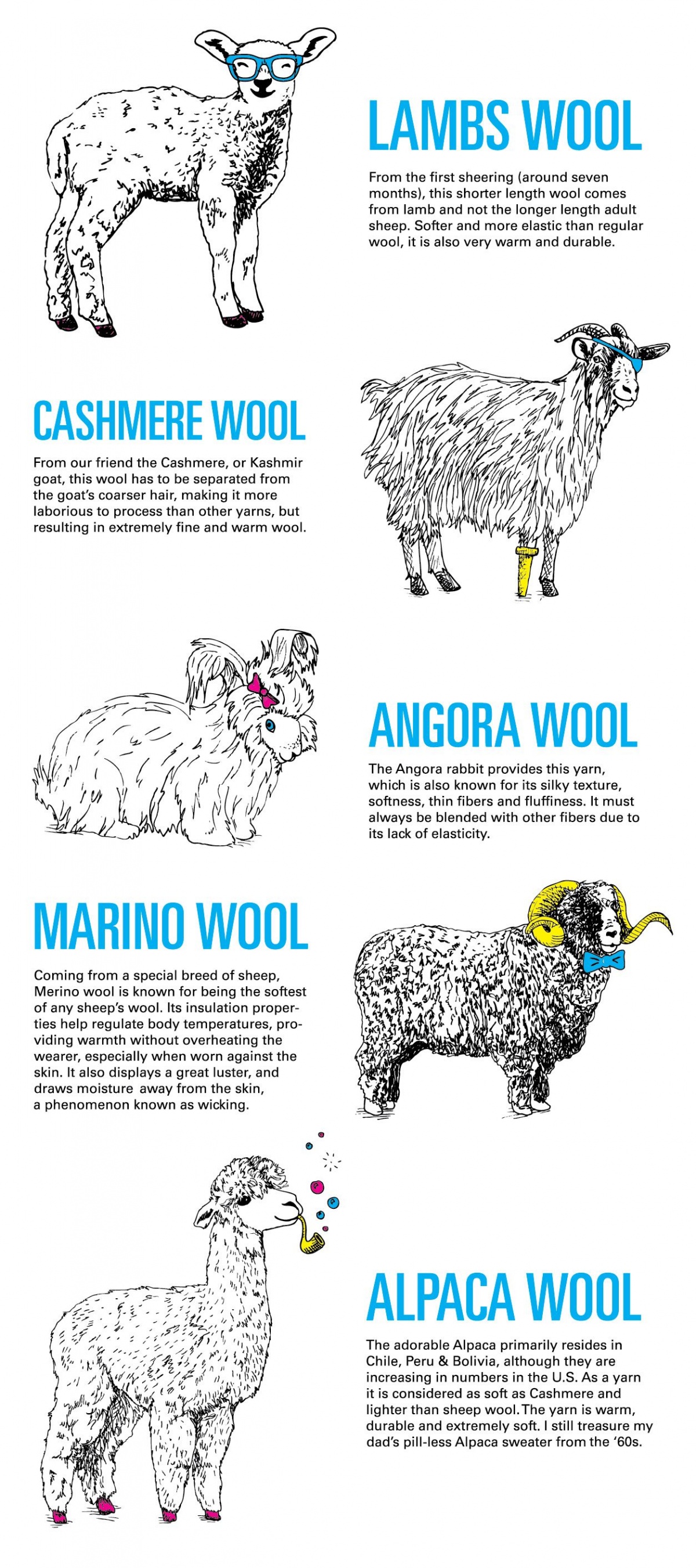 The Different Type Of Animals And Their Yarn