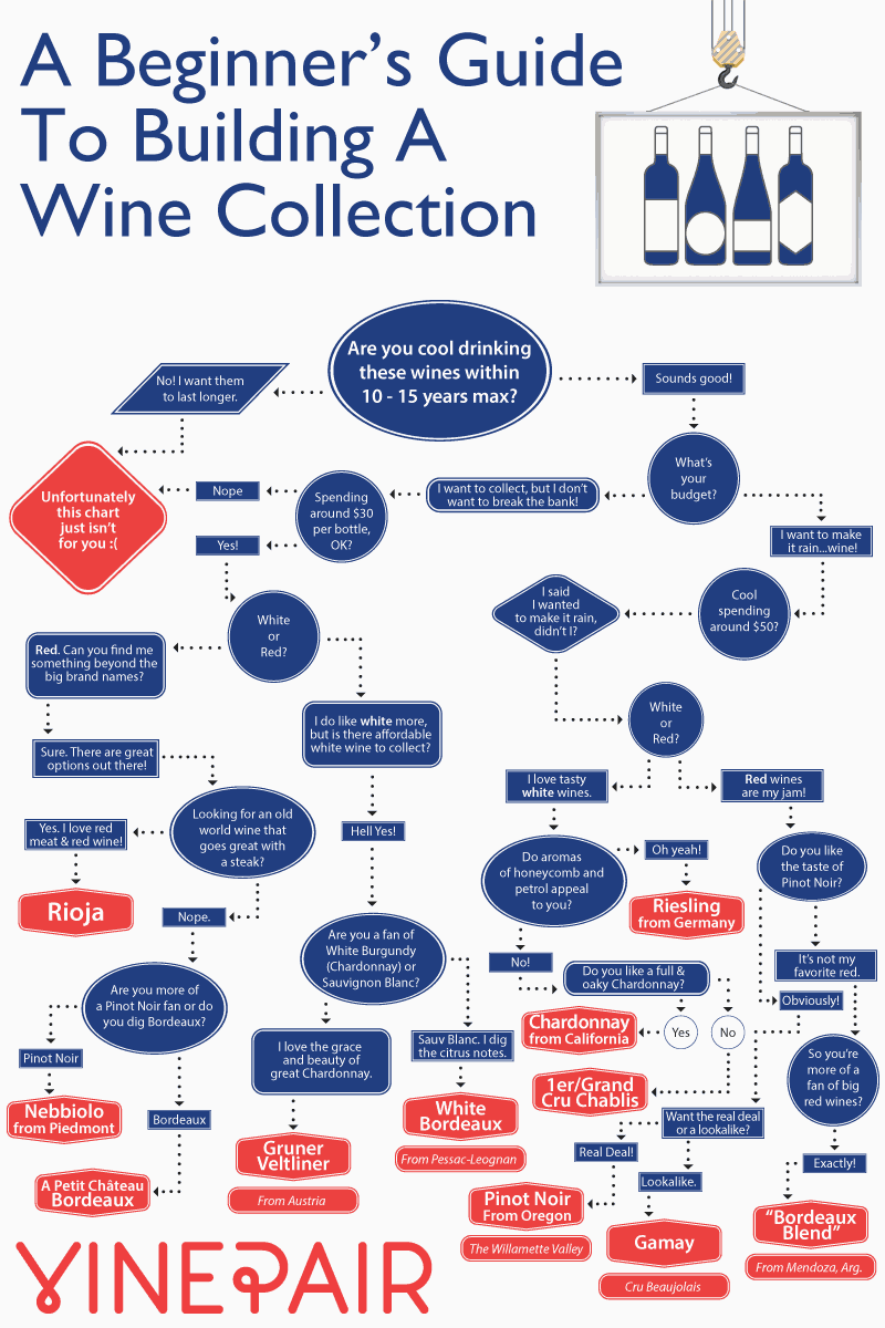 A Beginner's Guide To Building A Wine Collection