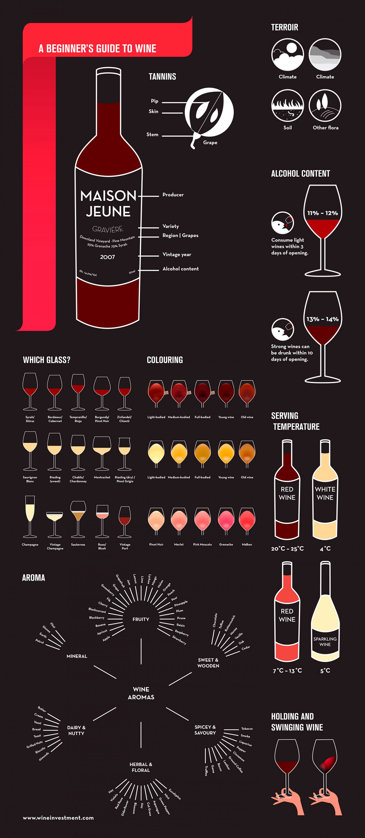 A Beginner's Guide To Wine