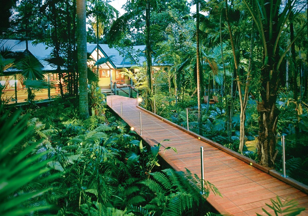 Australian Rainforest