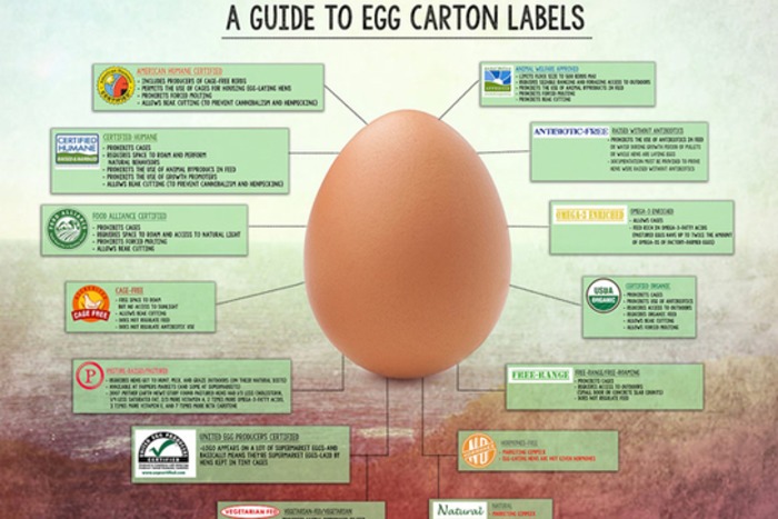 Egg Labels