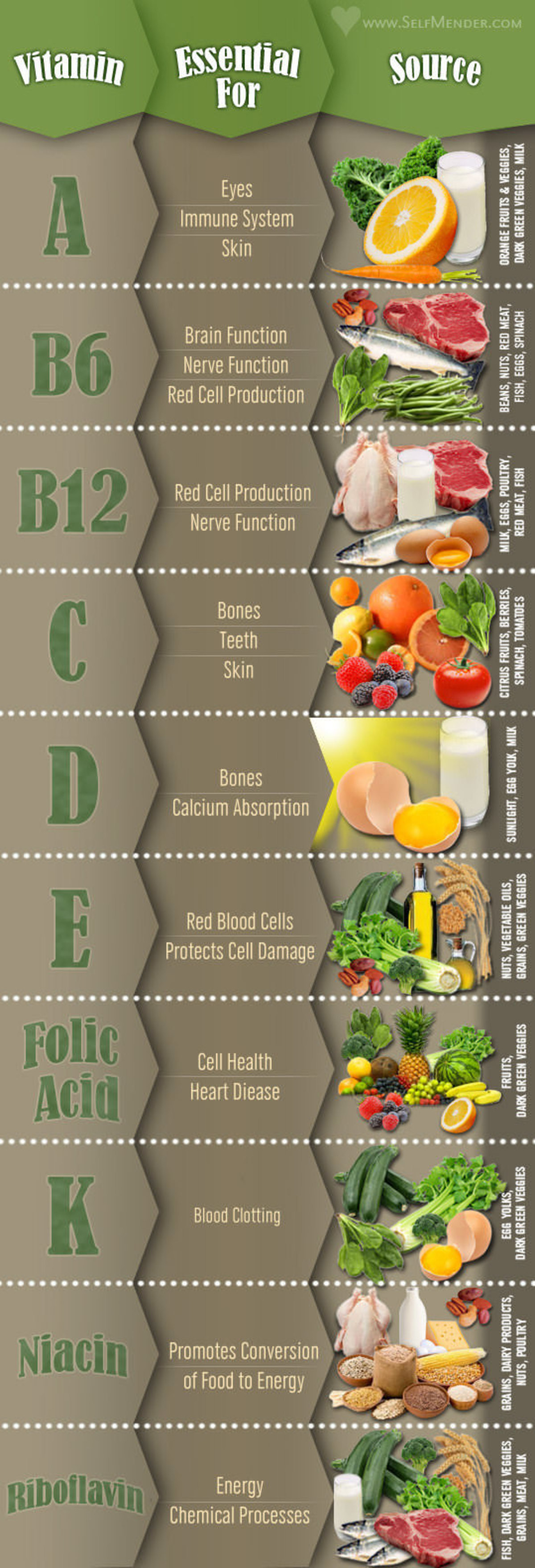 Guide To Essential Vitamins & Their Food Sources