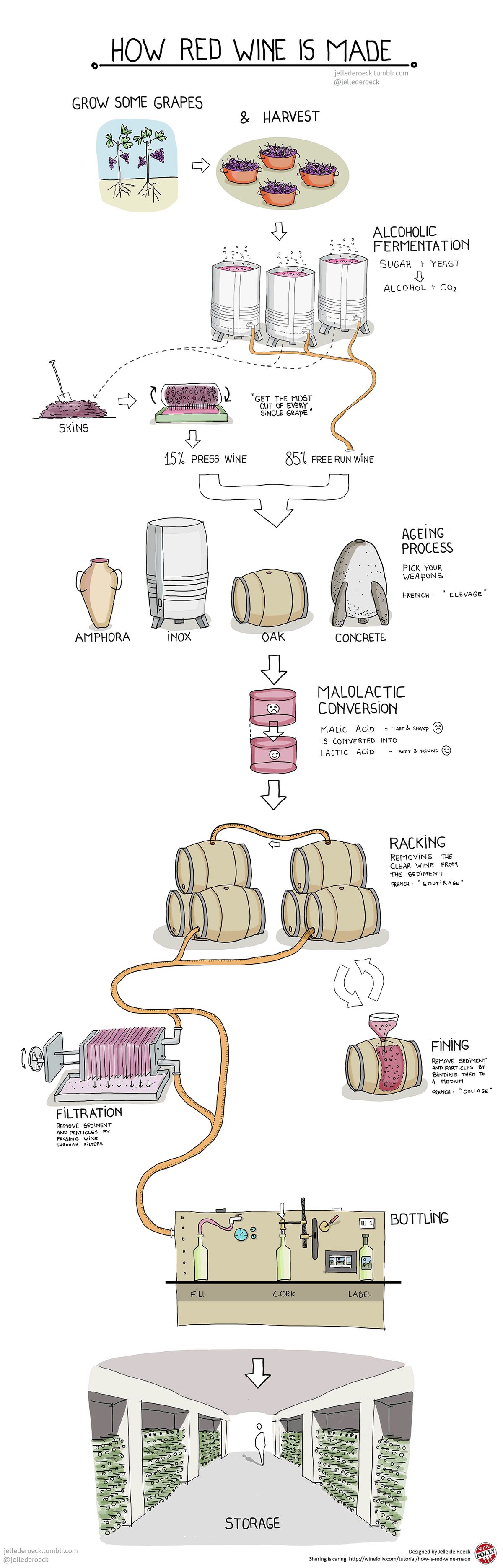 How Red Wine Is Made