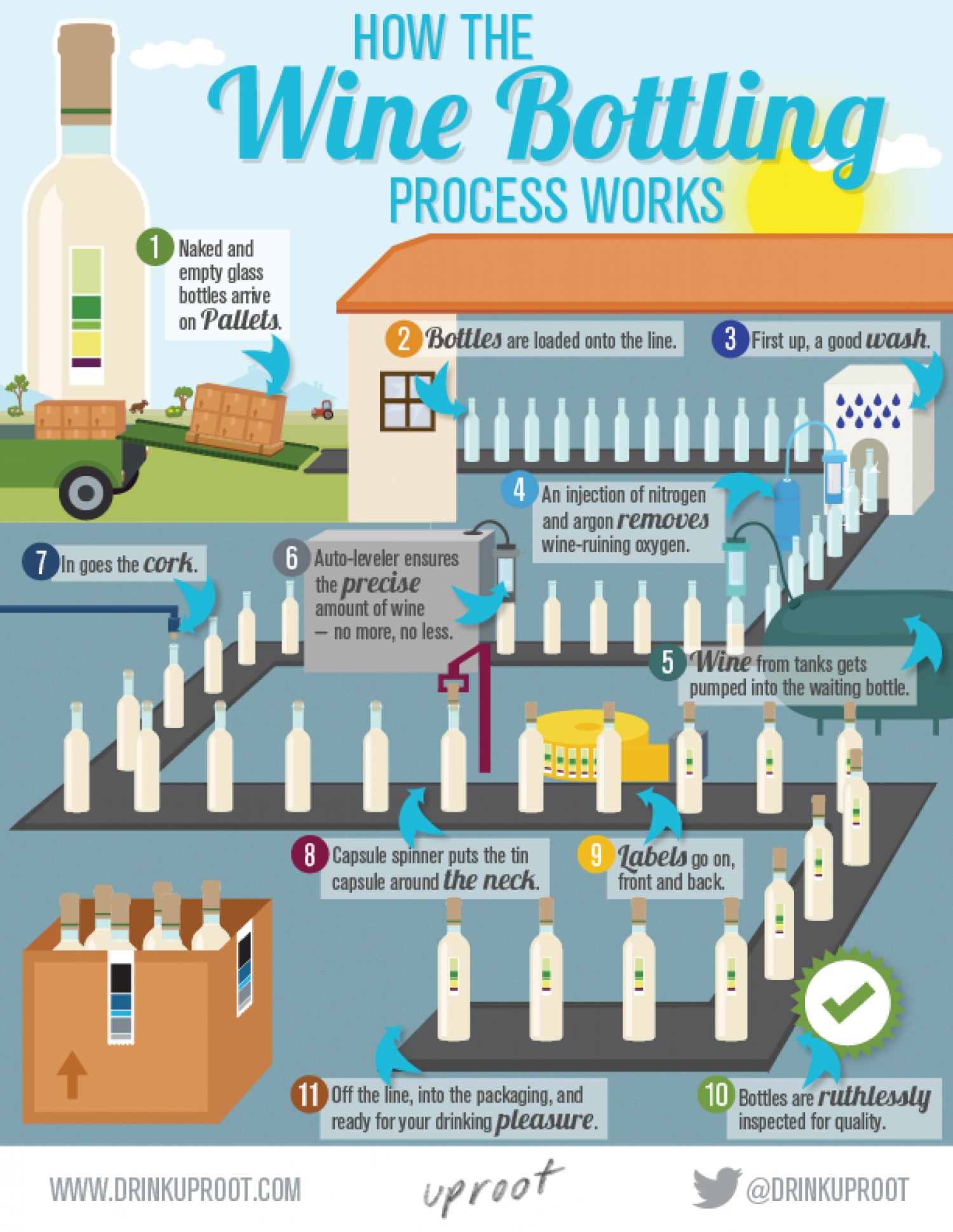 How The Wine Bottling Process Works