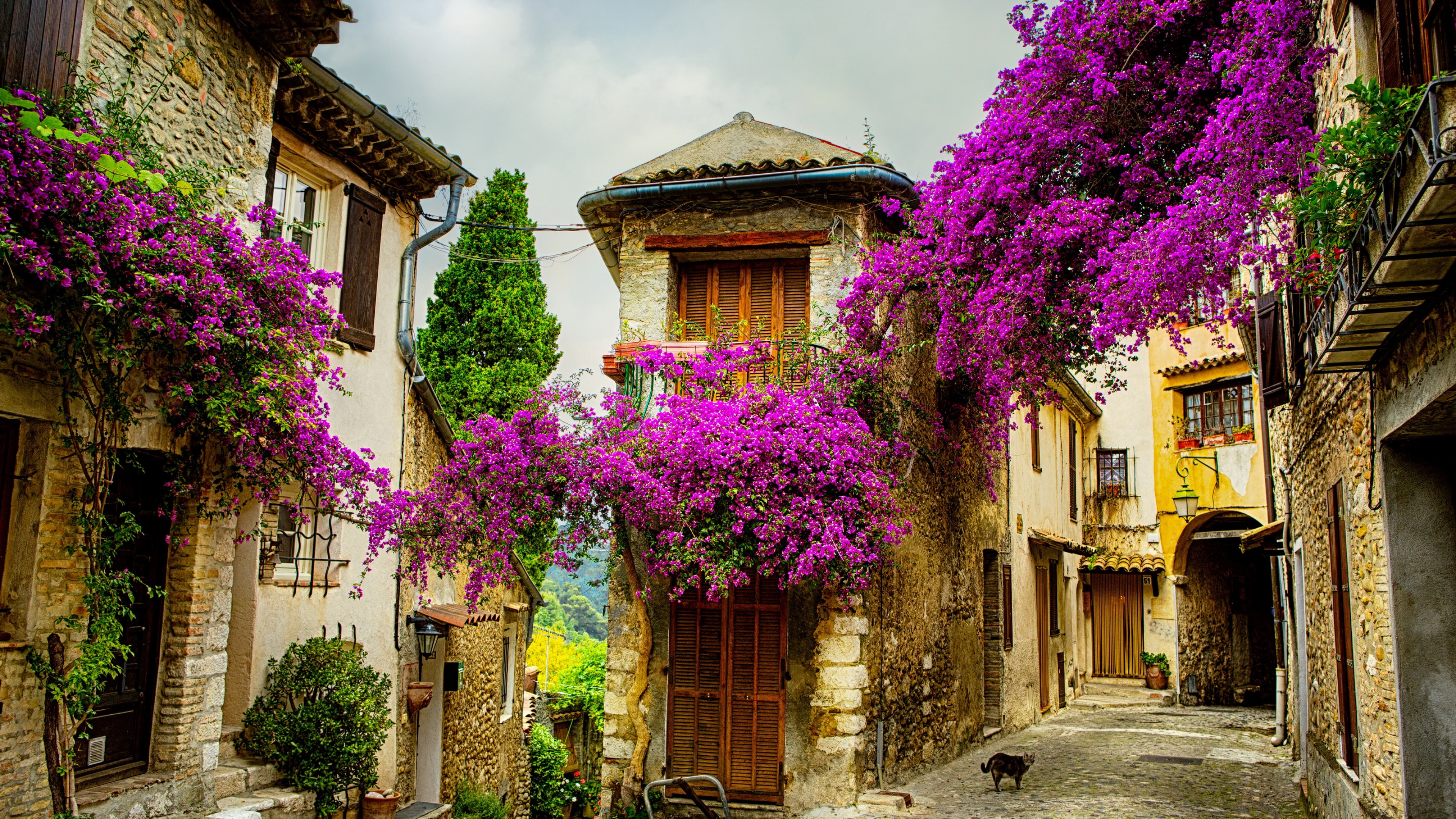 Provence, France