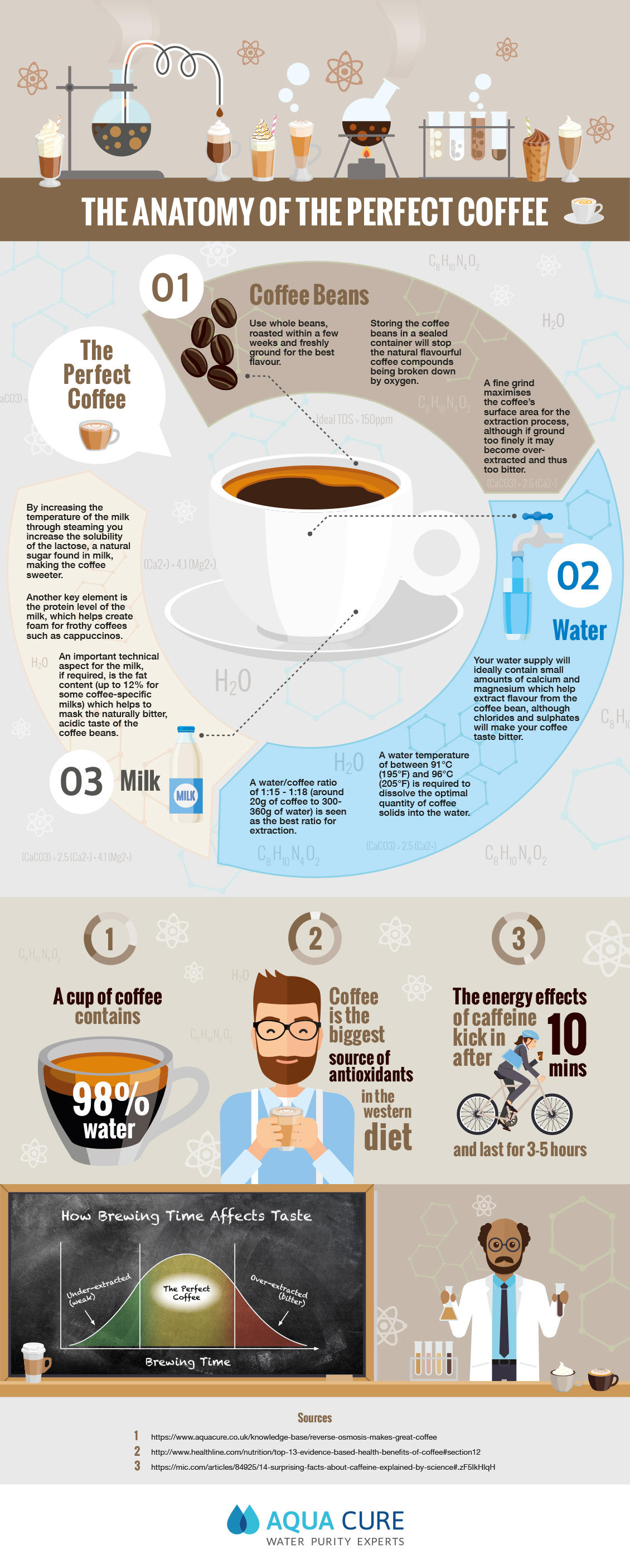 The Anatomy Of The Perfect Coffee