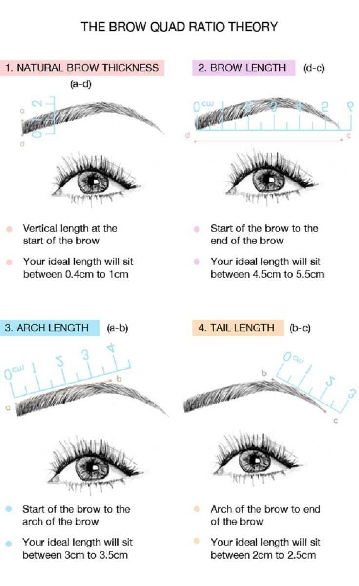 The Brow Quad Ratio Theory