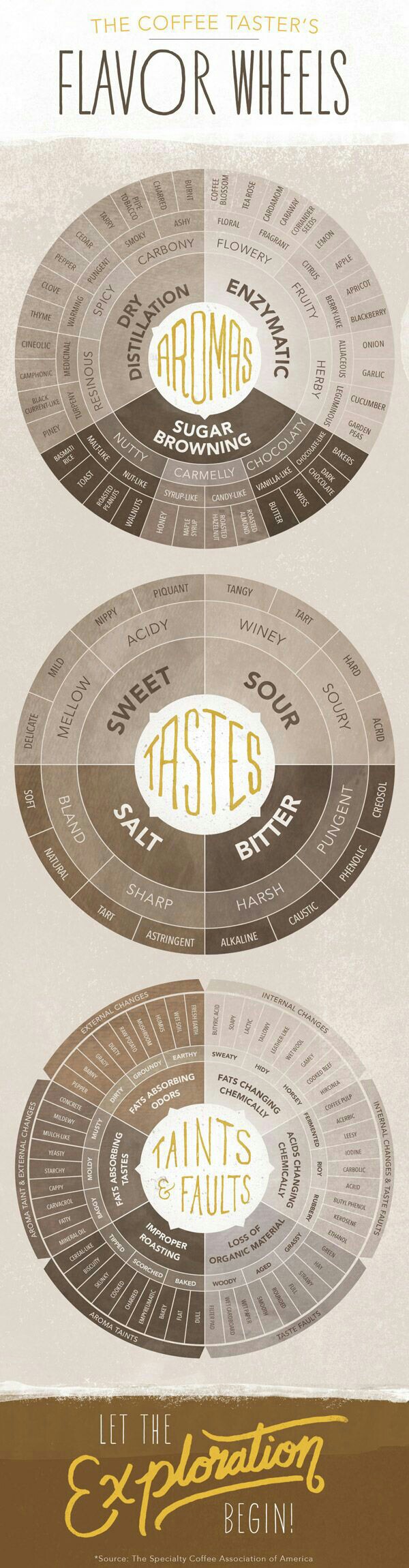 The Coffee Taster's Flavor Wheels