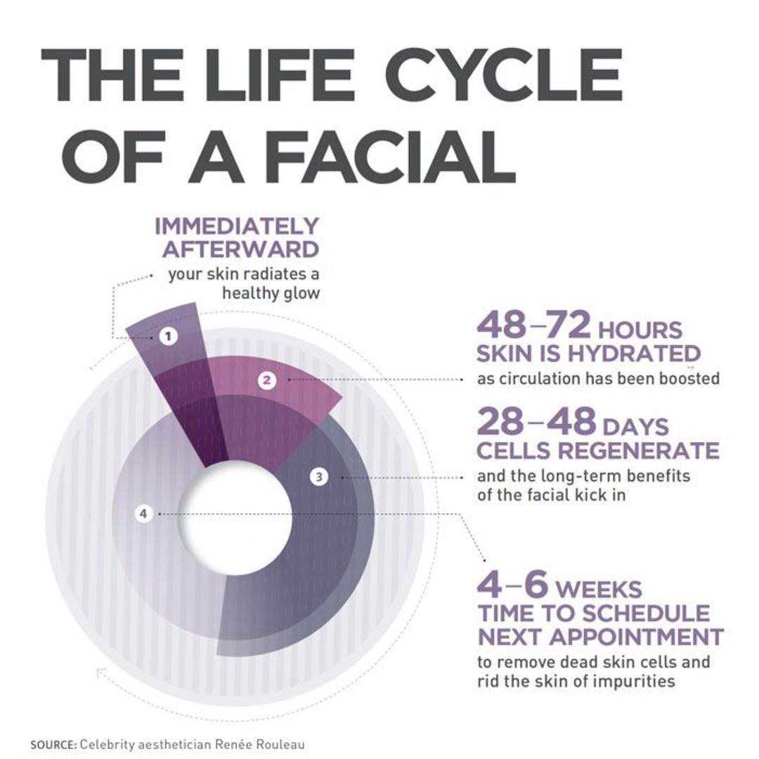 The Life Cycle Of A Facial