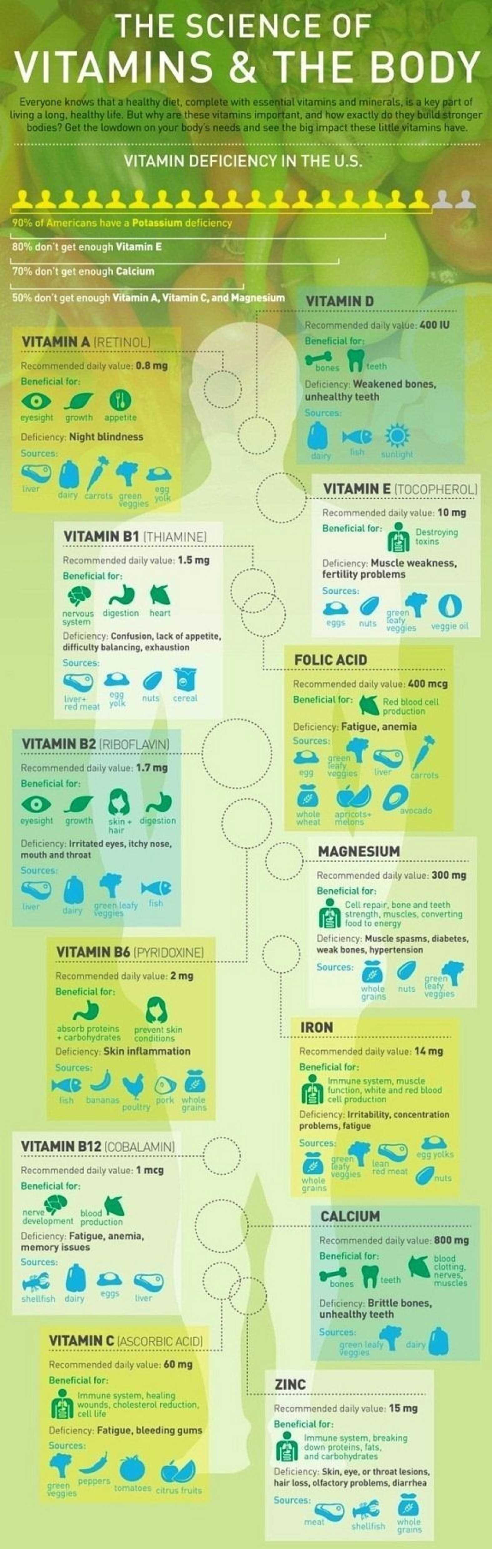 The Science Of Vitamins And The Body