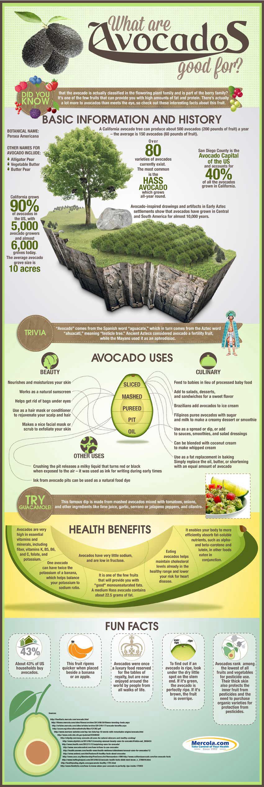 What Are Avocados Good For