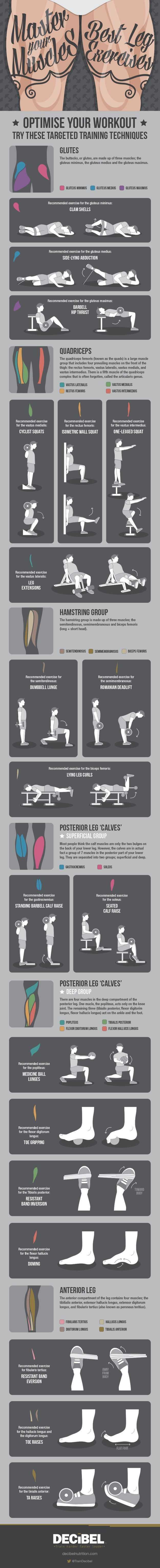 Best Leg Exercises