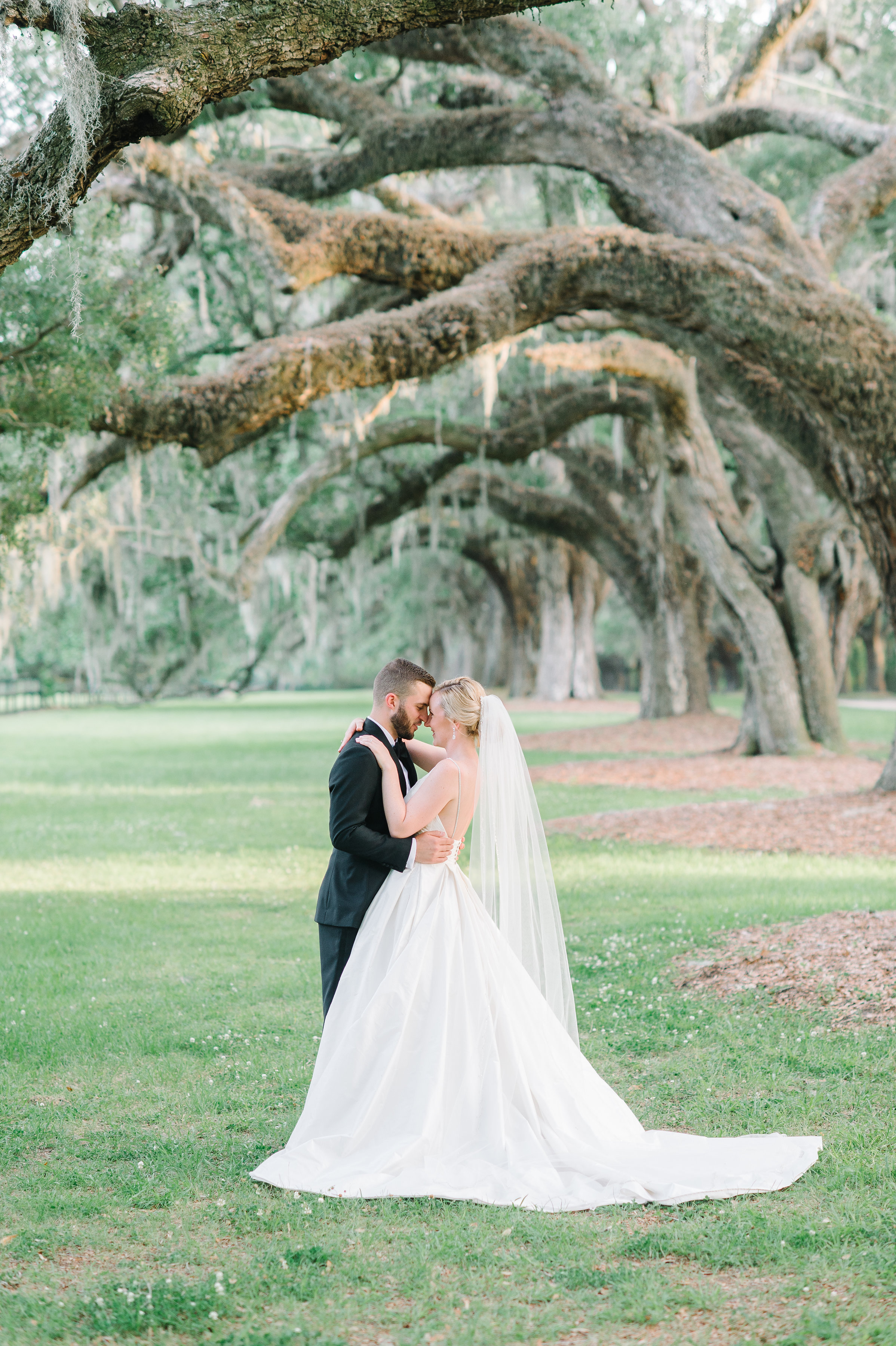 Boone Hall Plantation