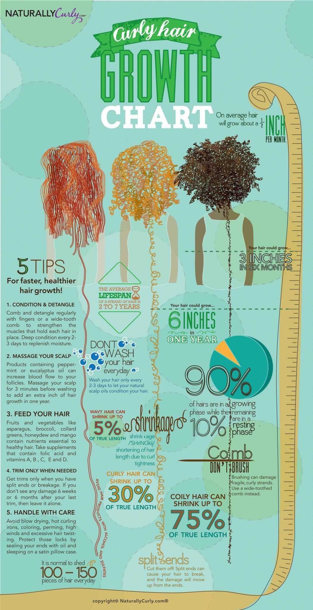 Curly Hair Growth Chart