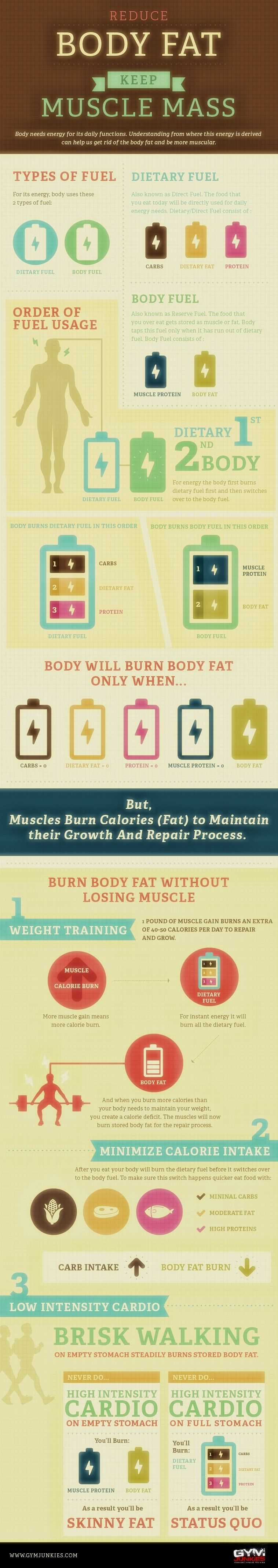 Reduce Your Body Fat Keep Muscle Mass