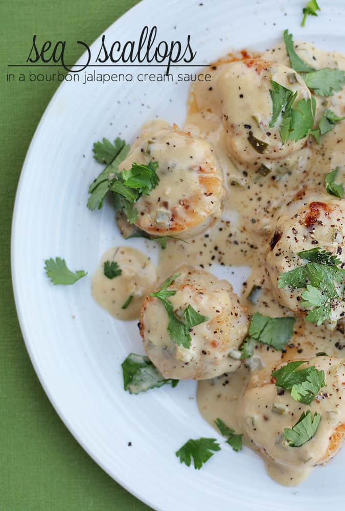 Sea Scallops In Bourbon Jalapeno Cream Sauce