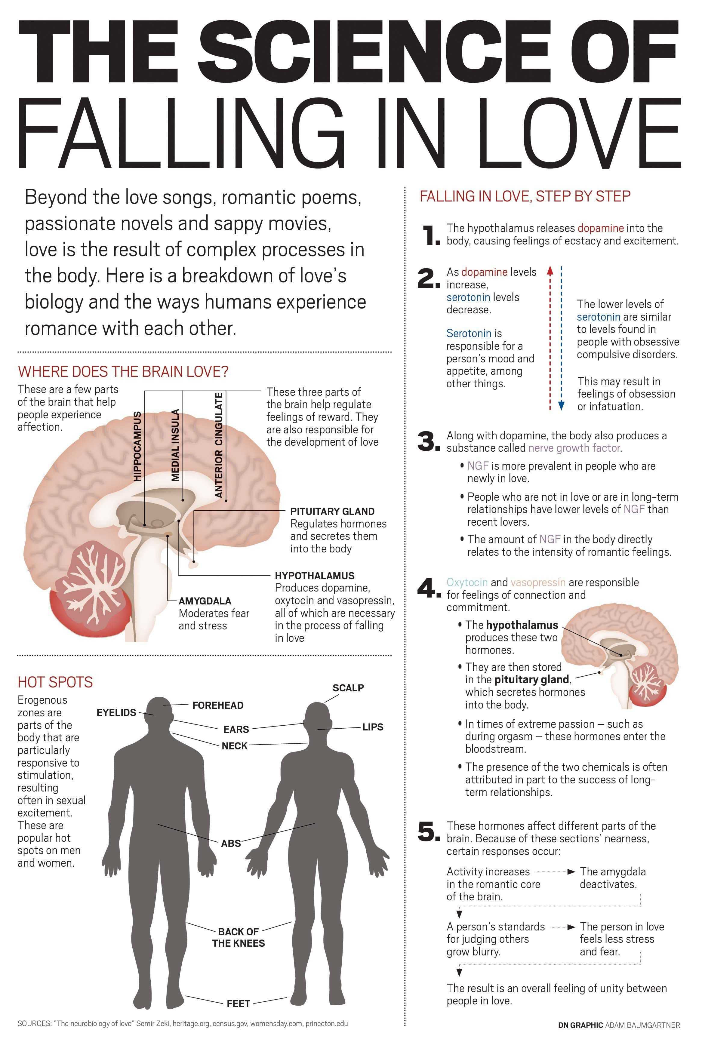 The Science Of Falling In Love