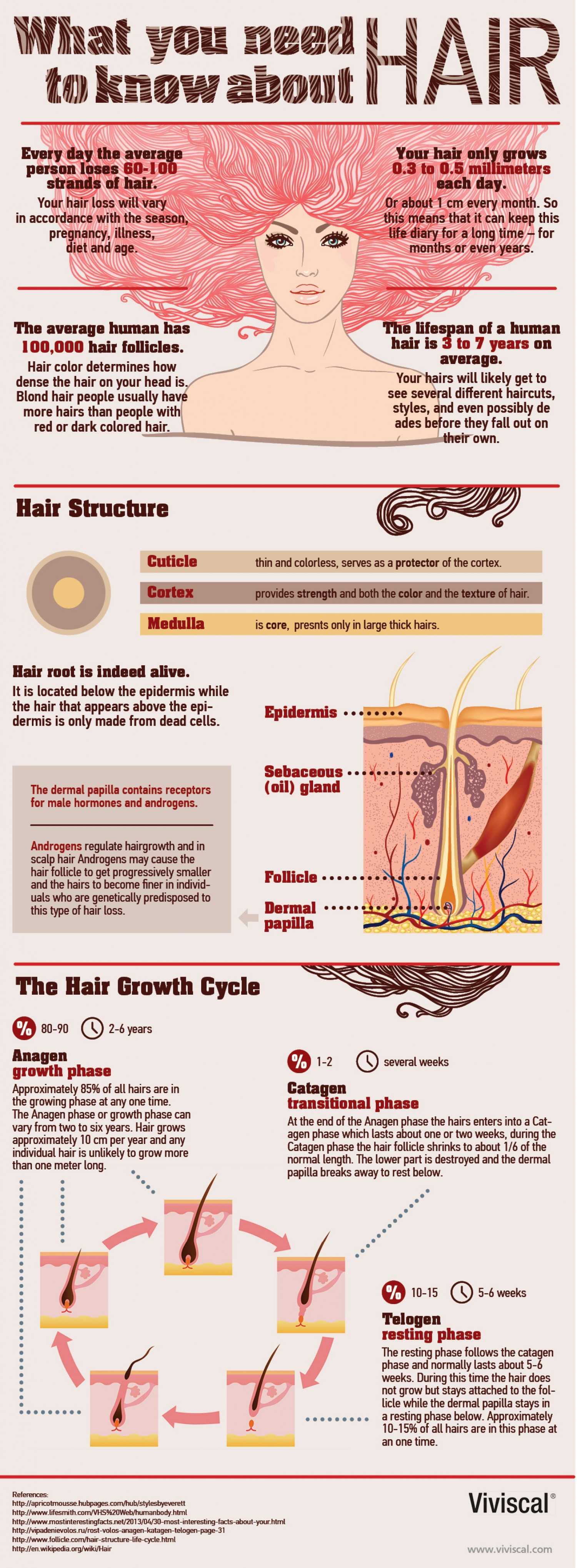 What You Need To Know About Hair