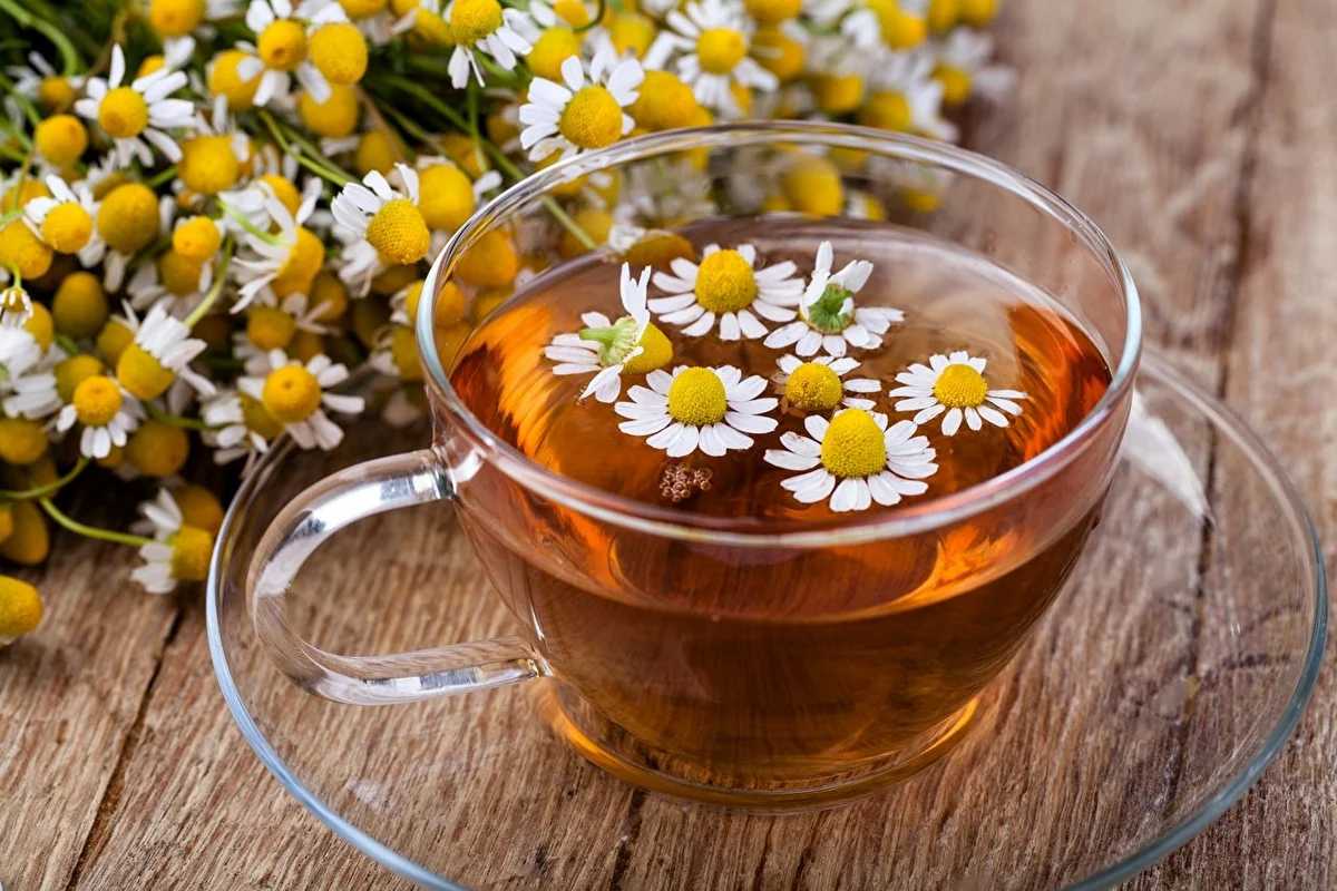 Chamomile