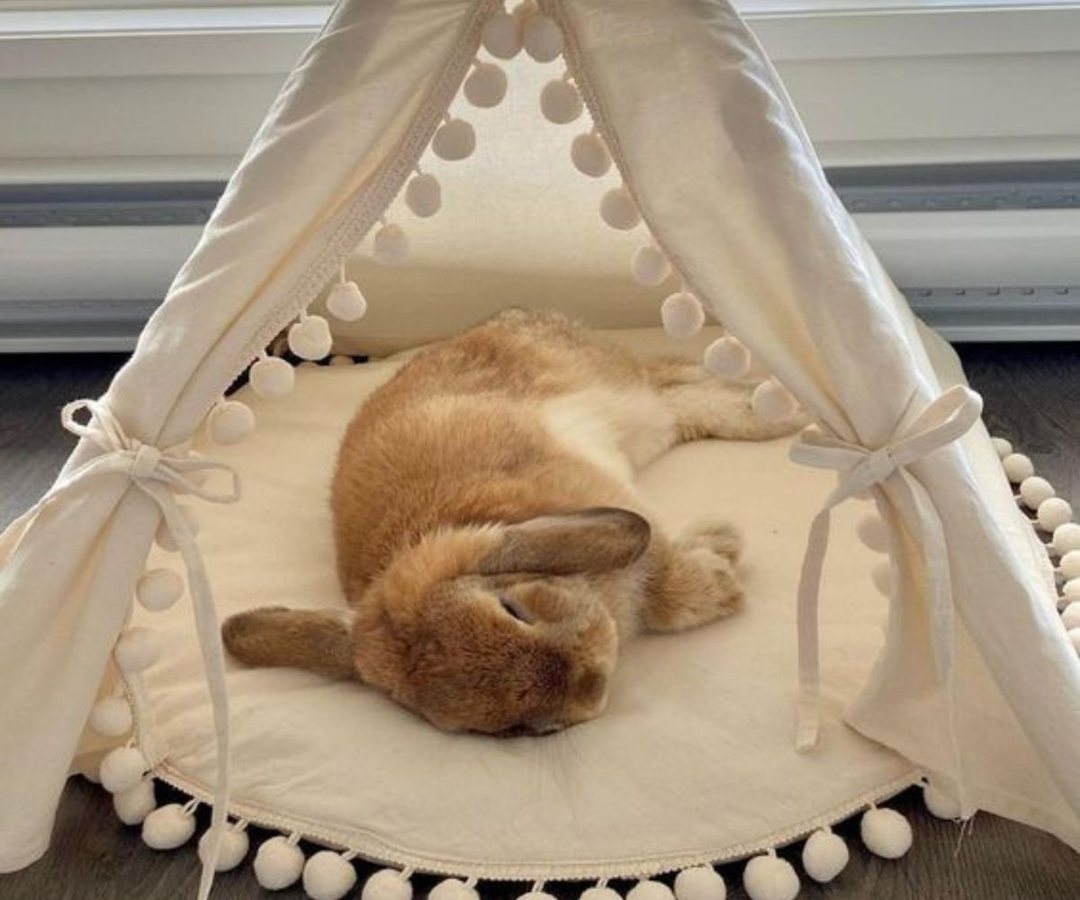 DIY Mini Teepee Bed