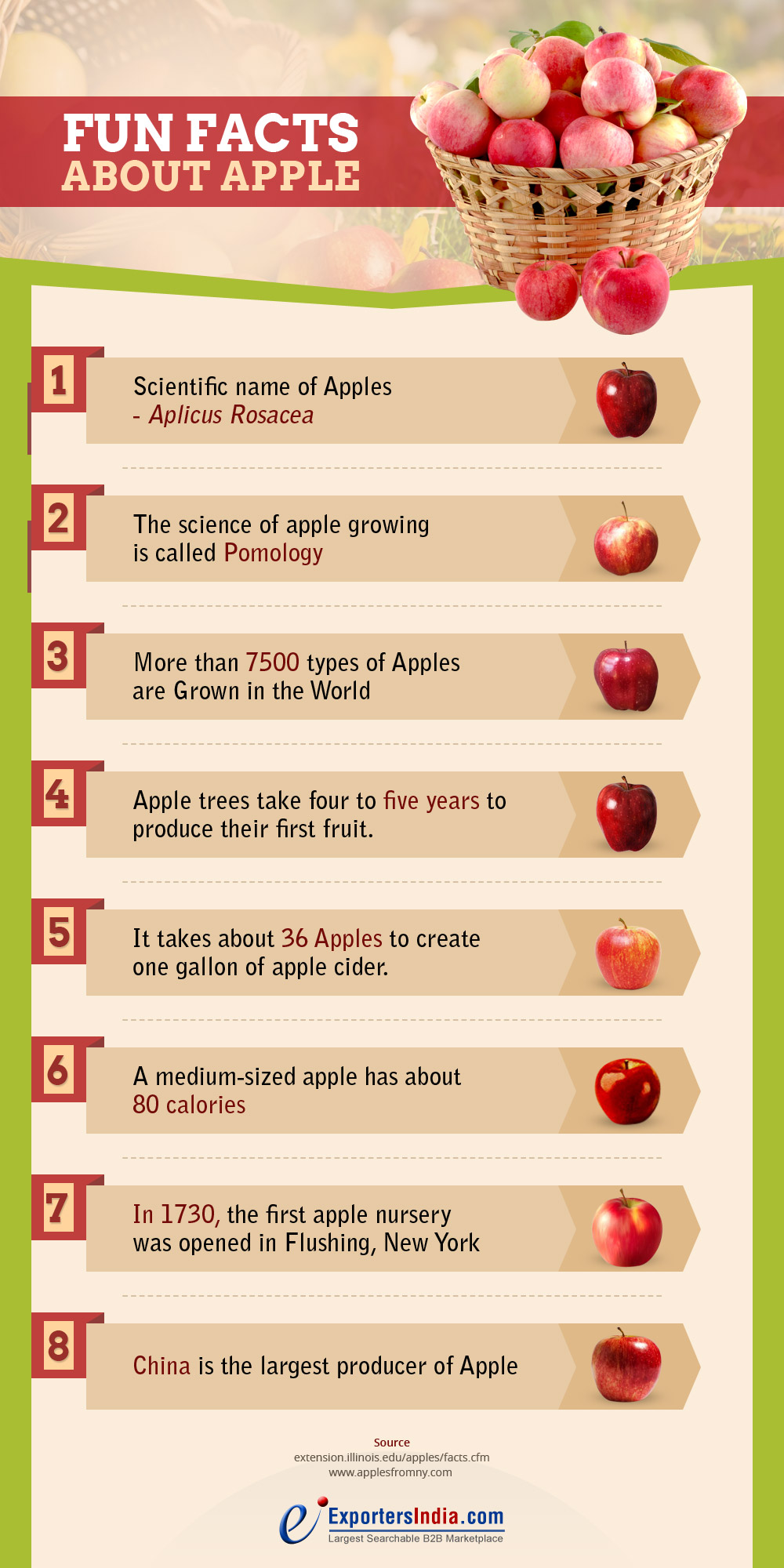 8 Fun Facts About Apple