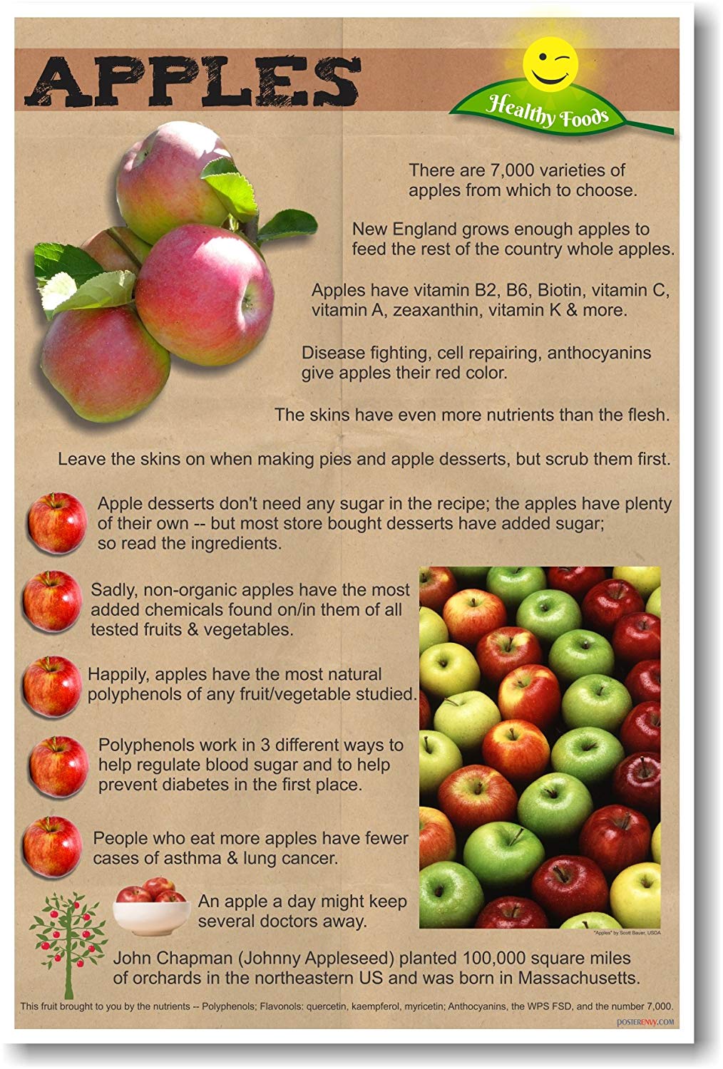 Apples - Healthy Foods