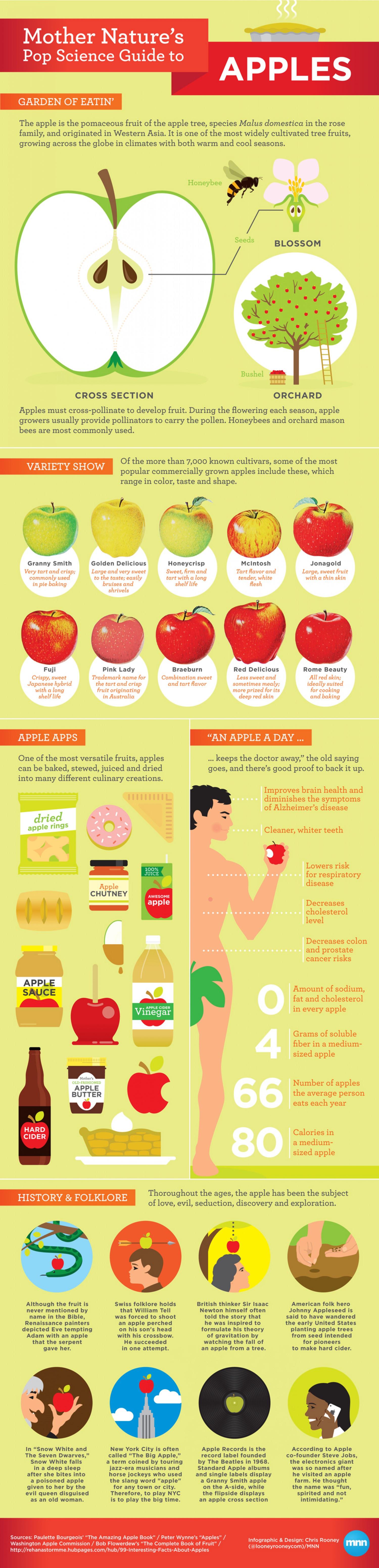 Mother Nature's Pop Science Guide to Apples