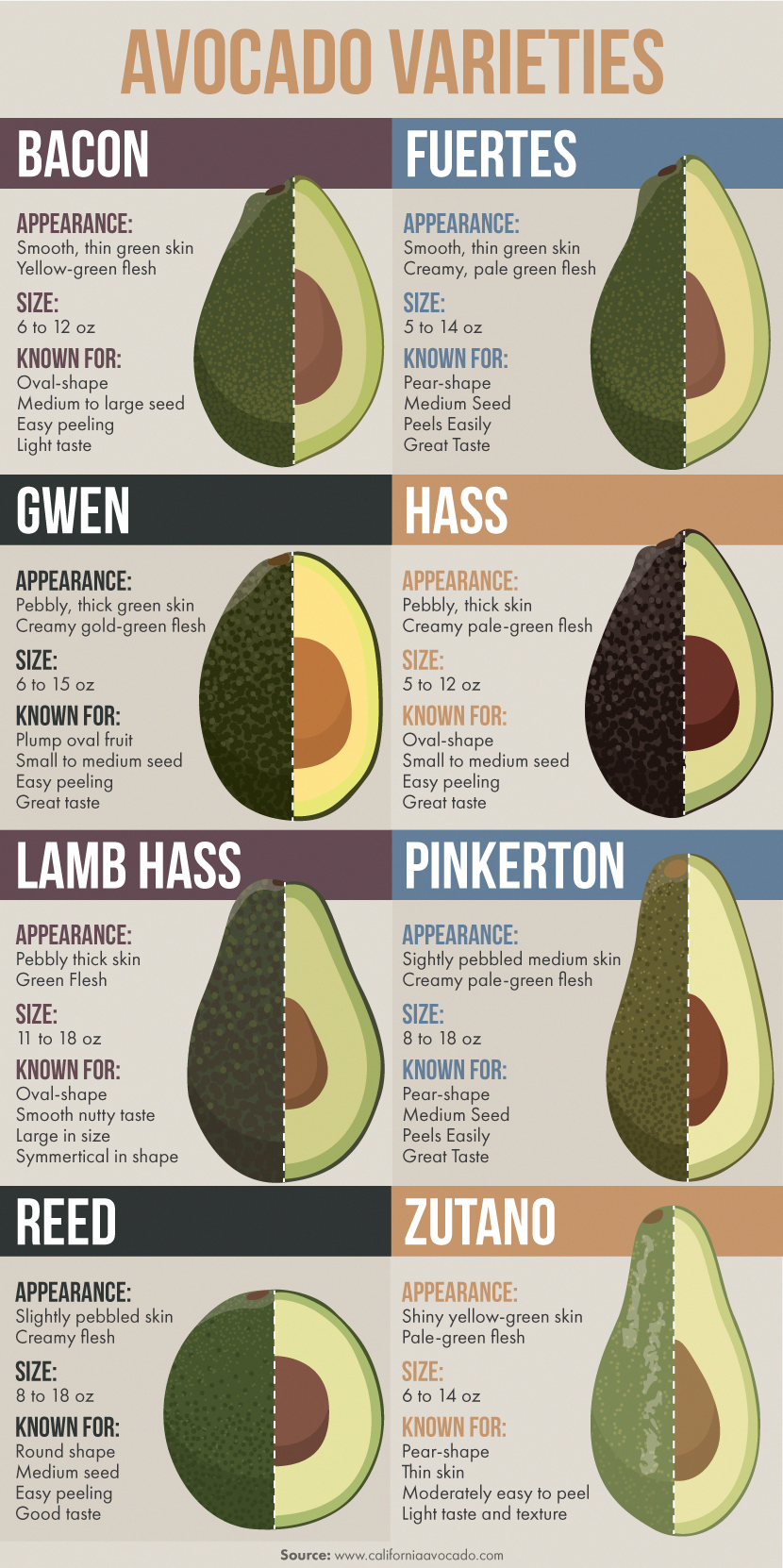 Avocado Varieties