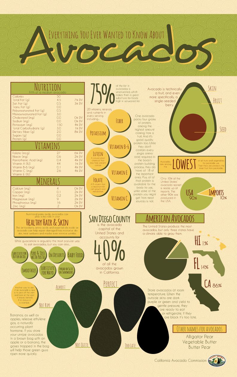 Everything You Ever Wanted To Know About Avocados