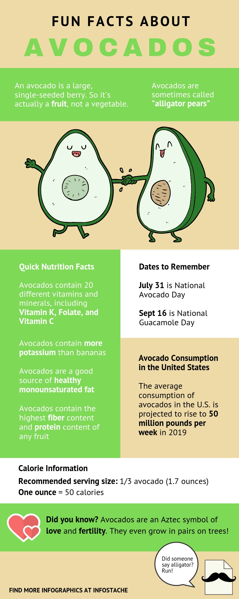 Fun Facts About Avocados