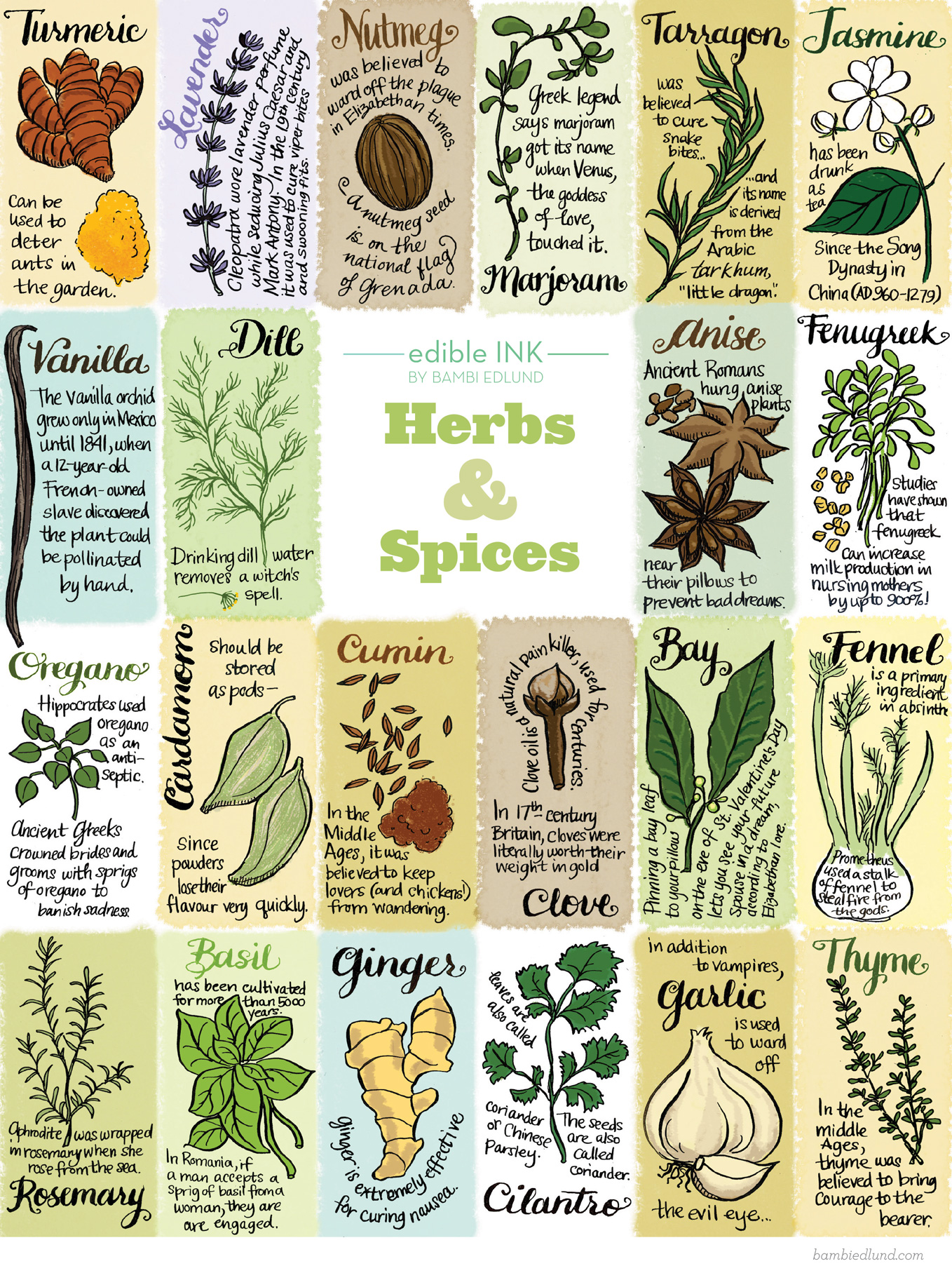 Herbs & Spices