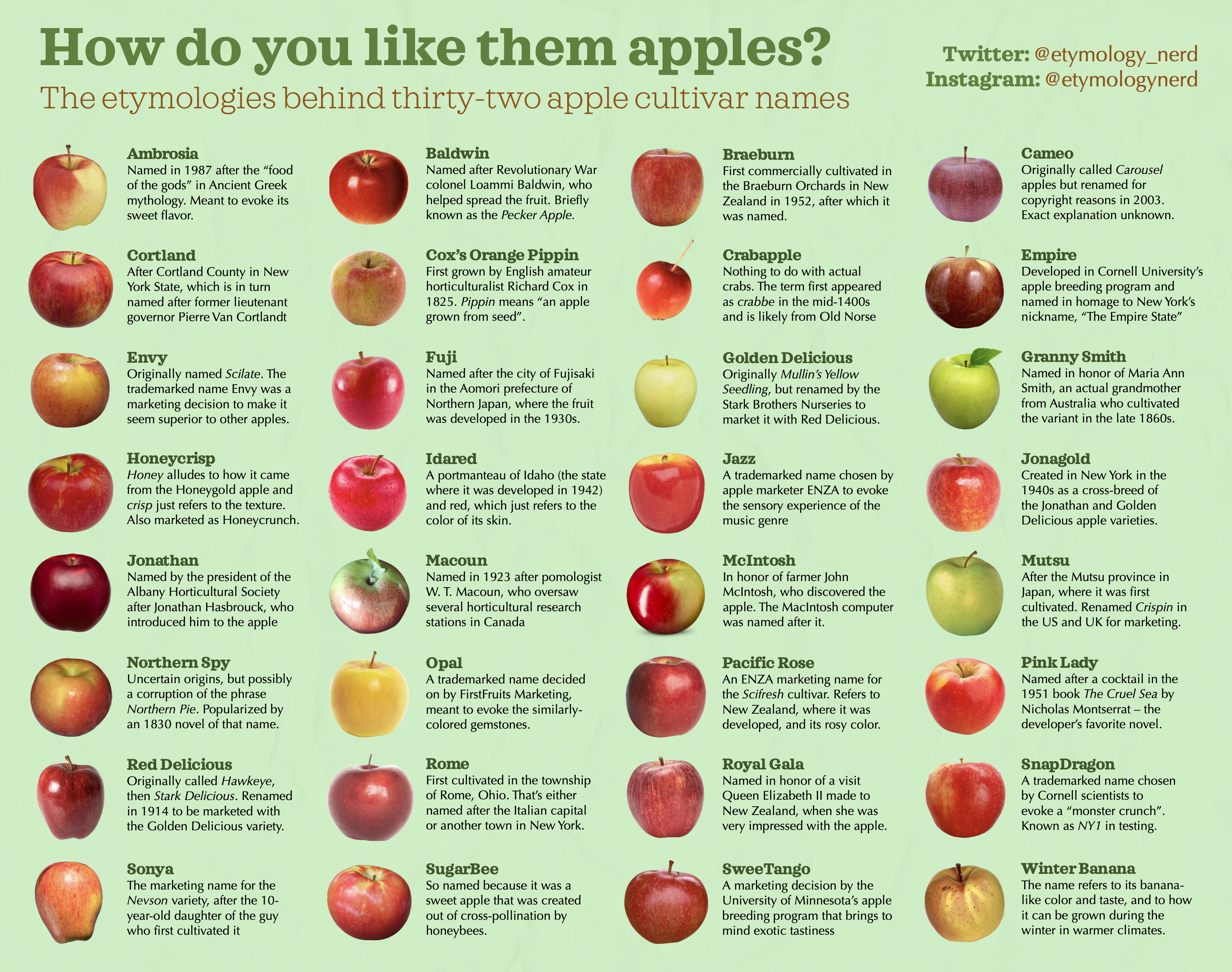 The Etymologies of 23 Apple Names