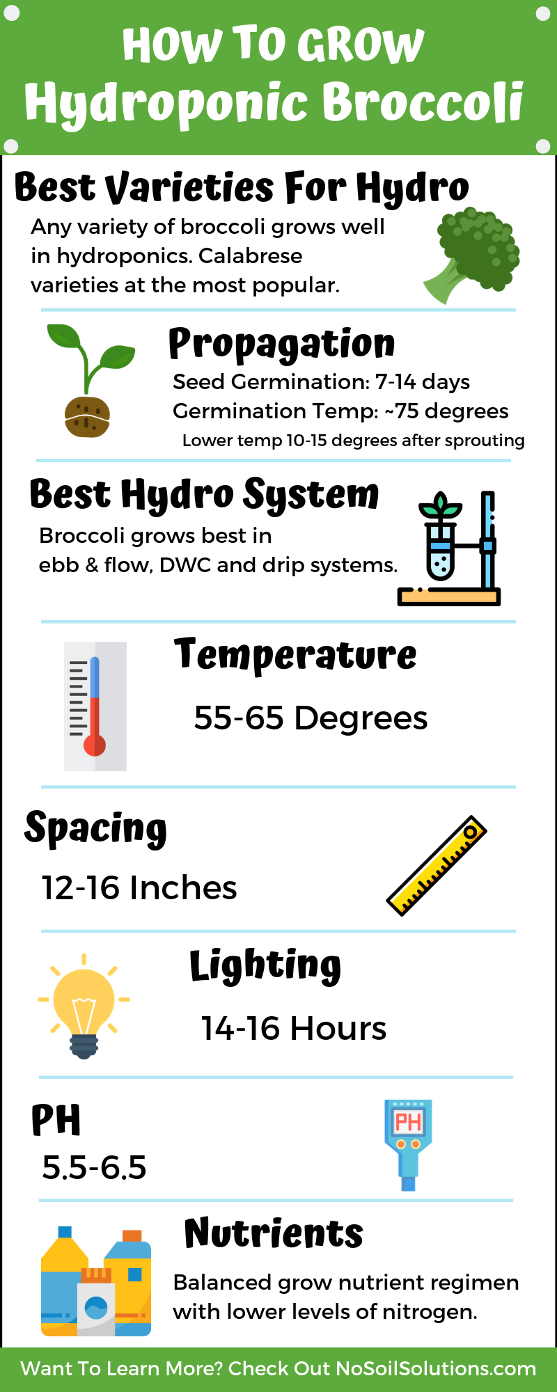 How to Grow Hydroponic Broccoli