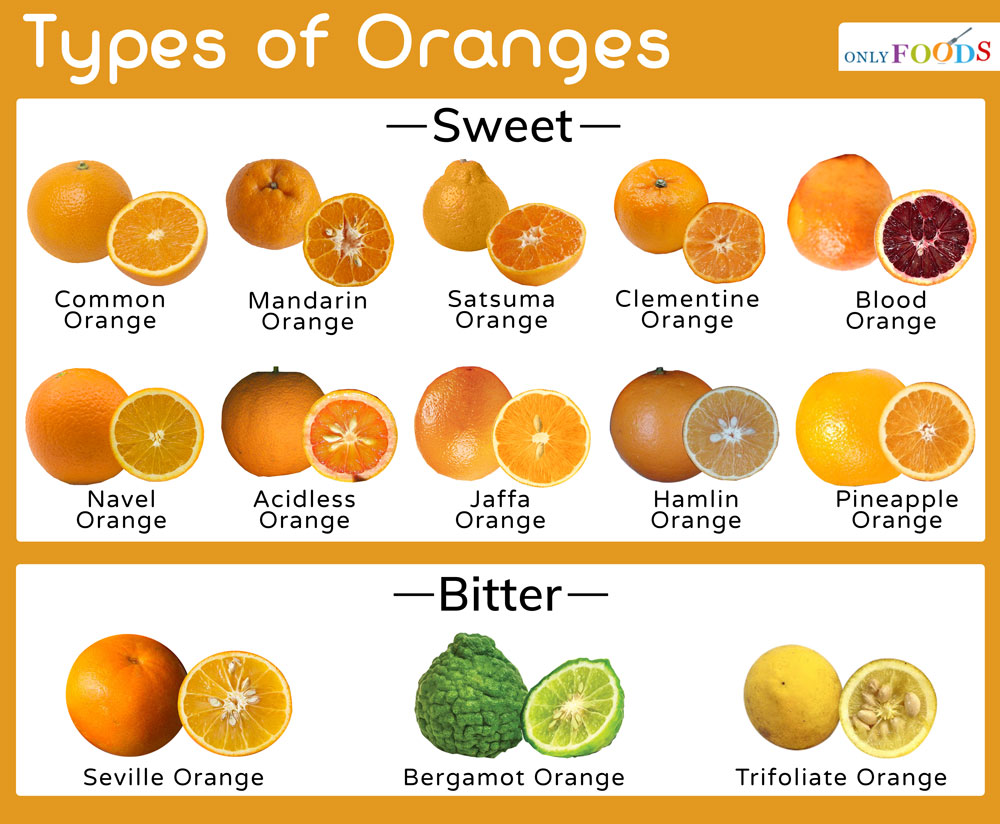 Types of Oranges