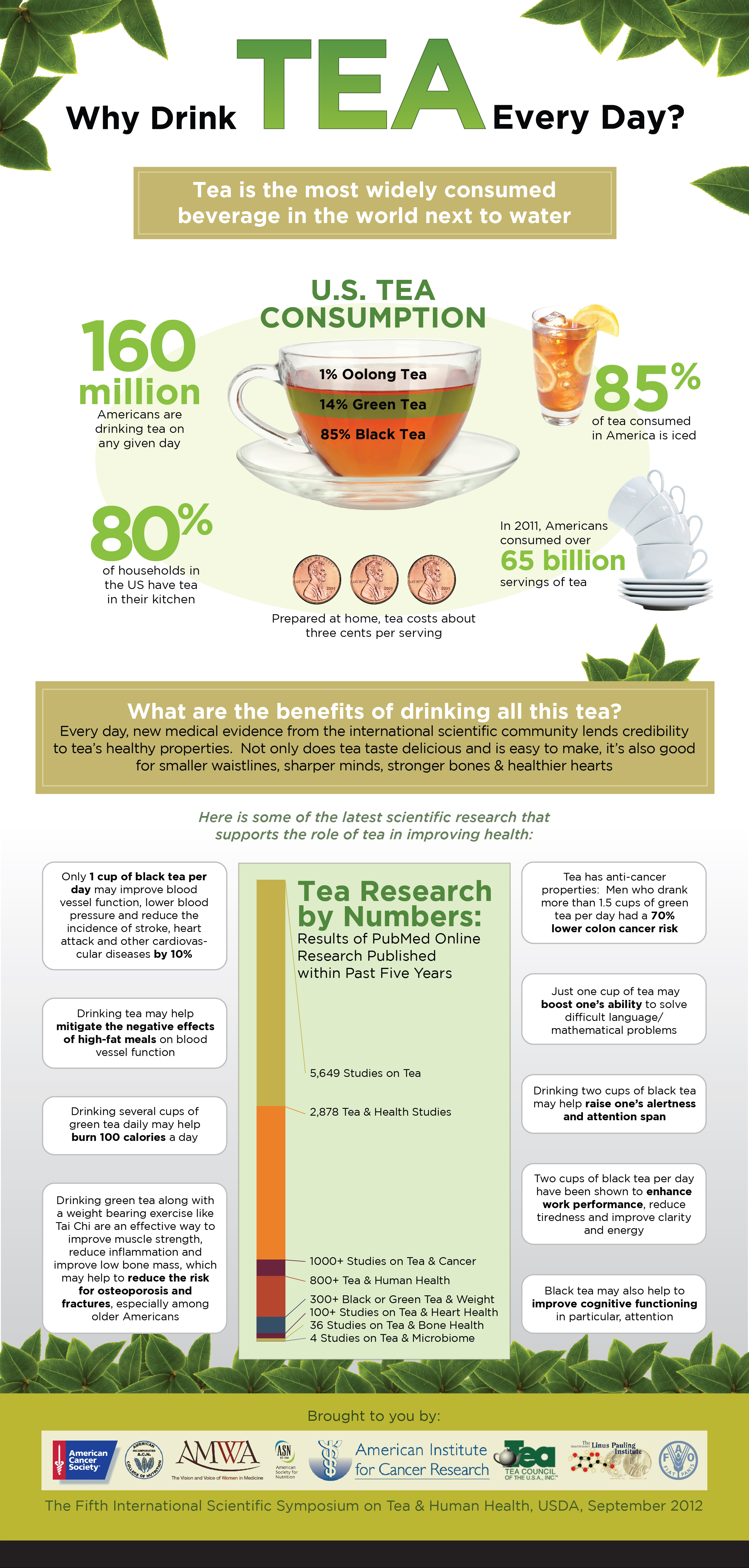 Why Drink Tea Every Day