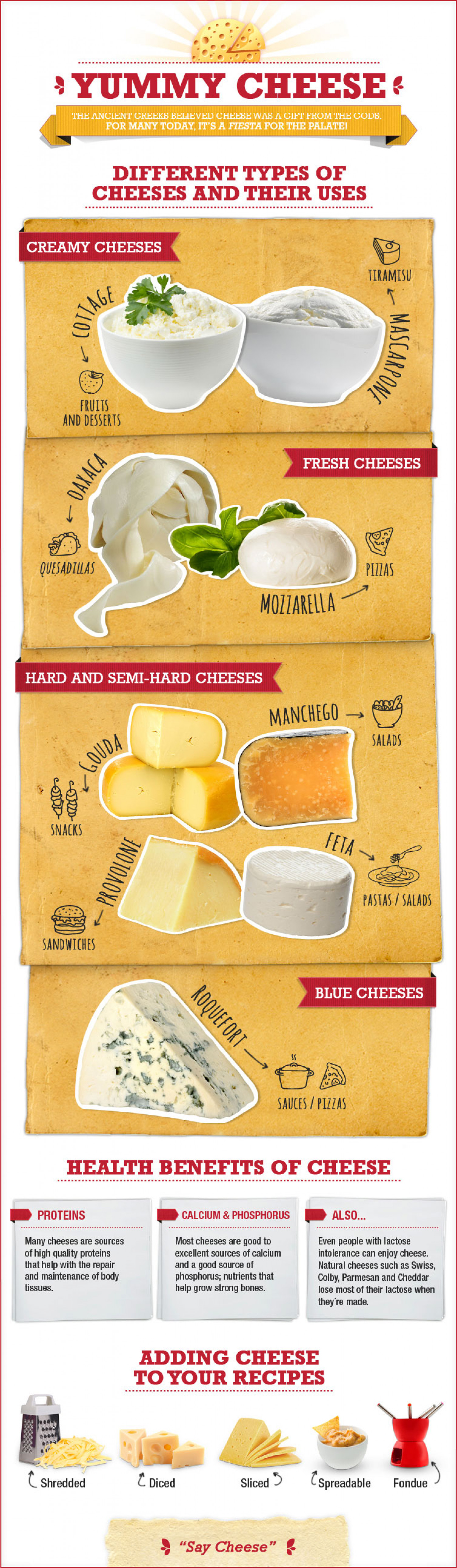 A Cheese Course the Basic Types and Uses of Cheese