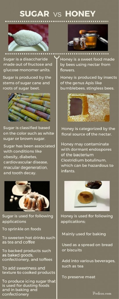 Difference Between Sugar and Honey