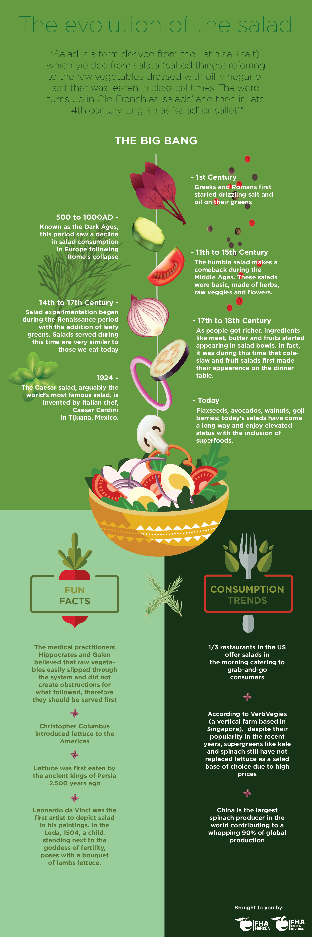 The Evolution of the Salad