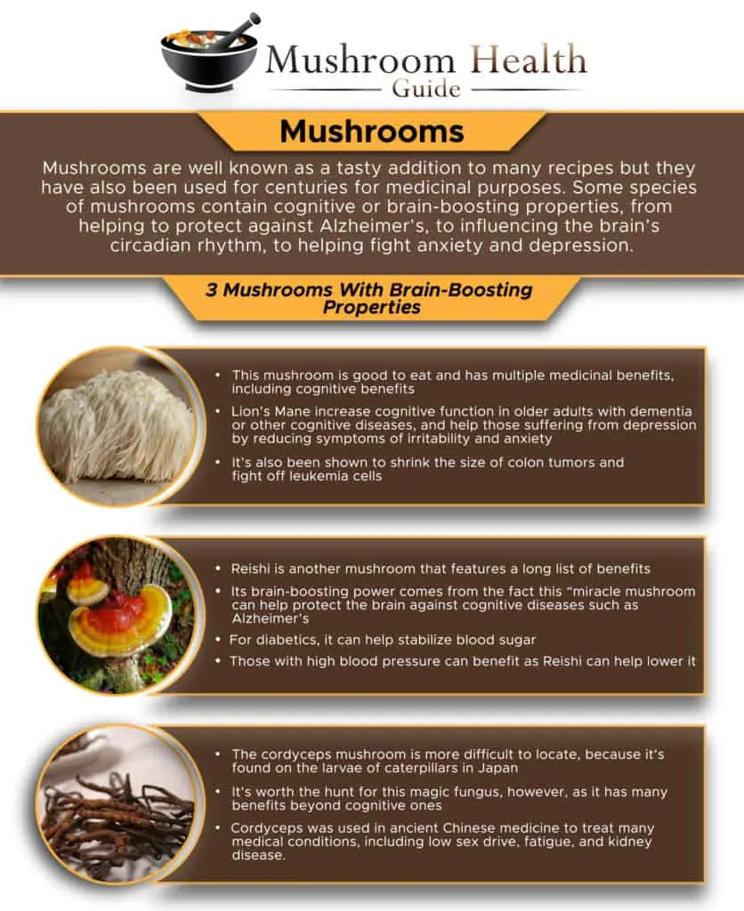 3 Mushrooms With Brain-Boosting Properties