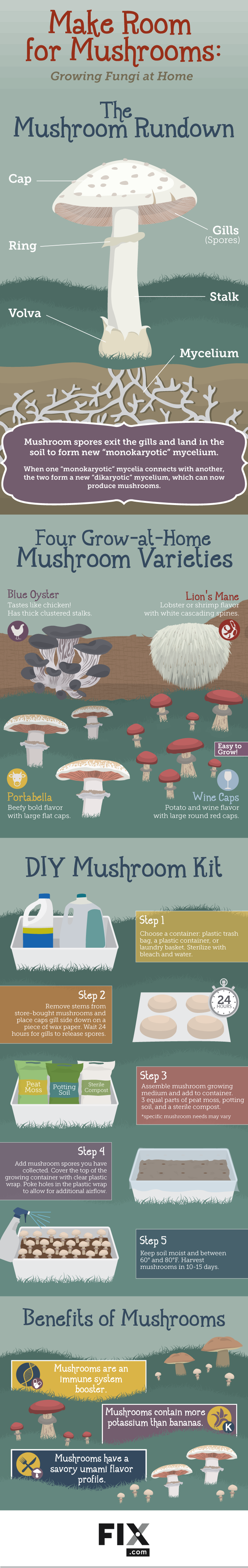 Easy Guide To Growing Mushrooms At Home