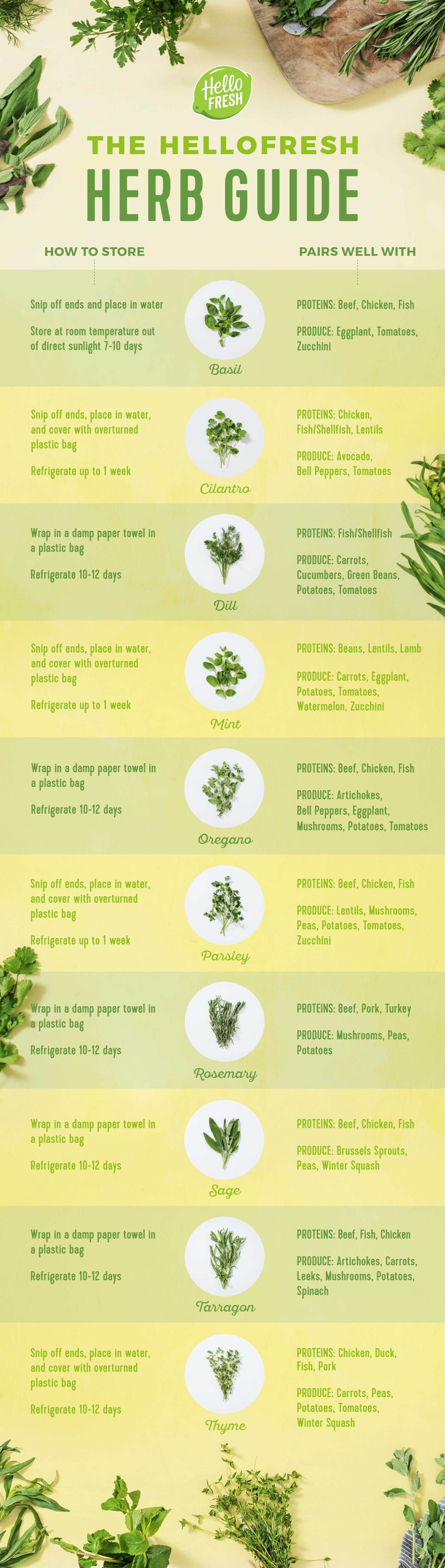 Guide to Storing Fresh Herbs