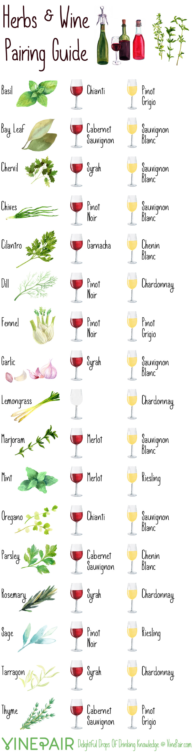 Herbs & Wine Pairing Guide