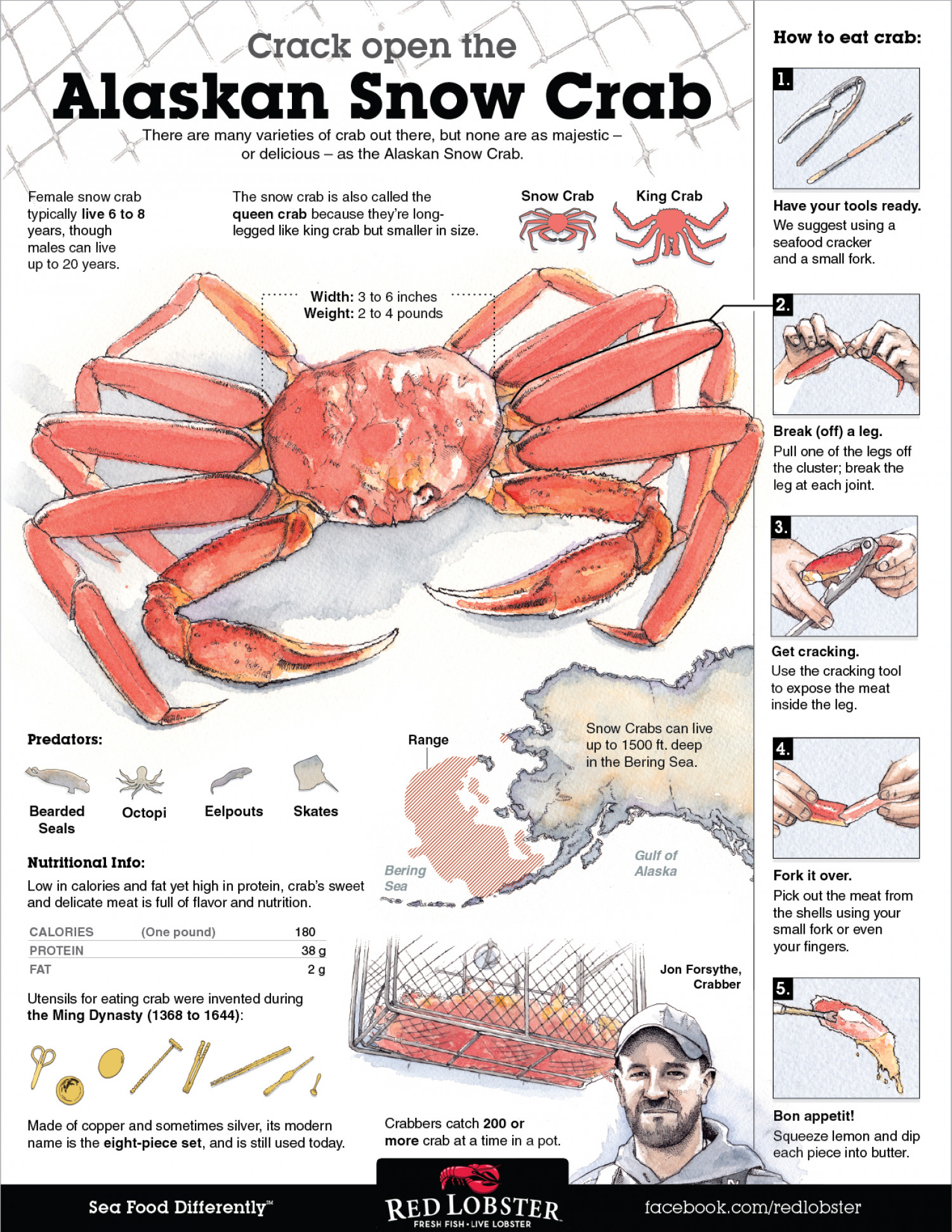 How to Eat Crab