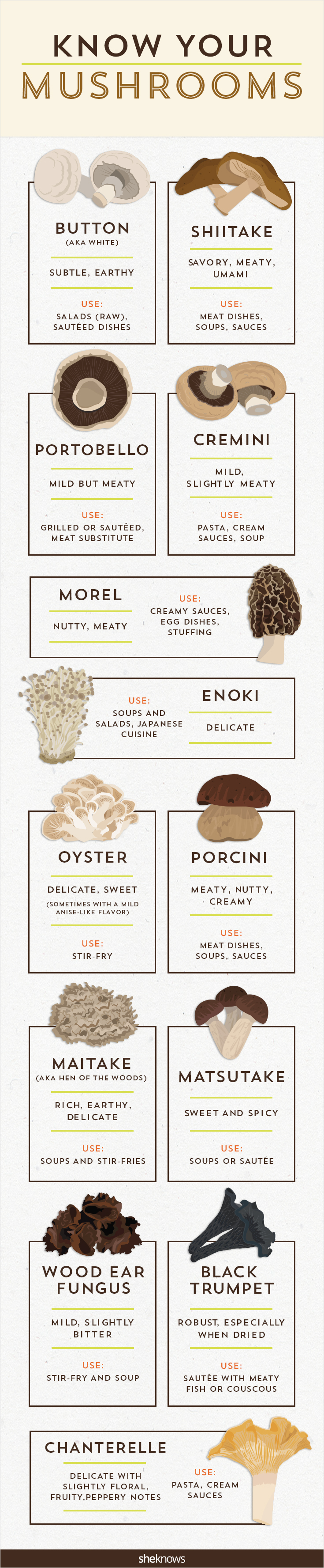 Know Your Mushrooms